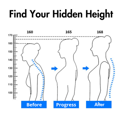 Back Straightener & Posture Corrector